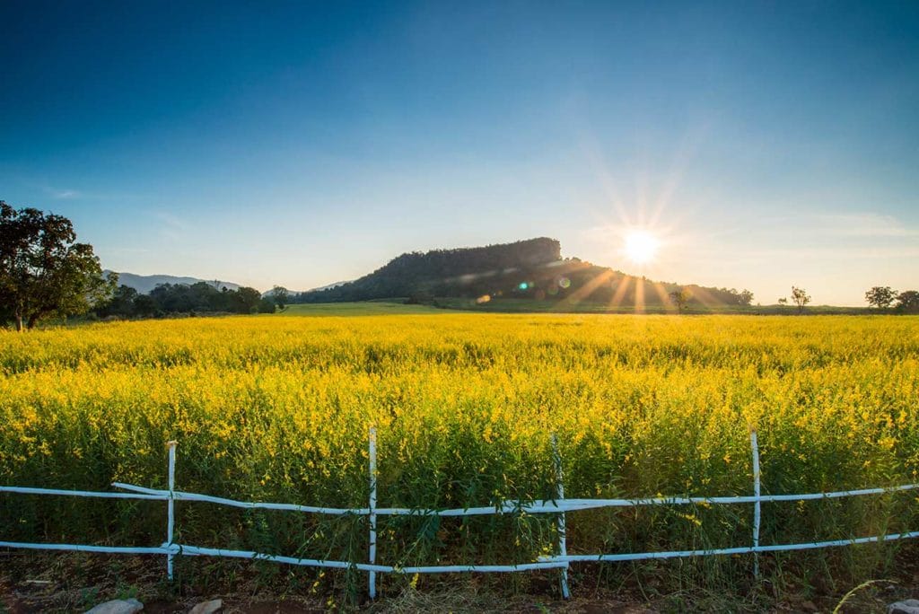 Elevate: On Driving Innovation in Credit-Scoring through Advanced Analytics