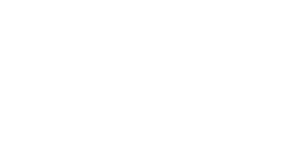 Fraudfinder